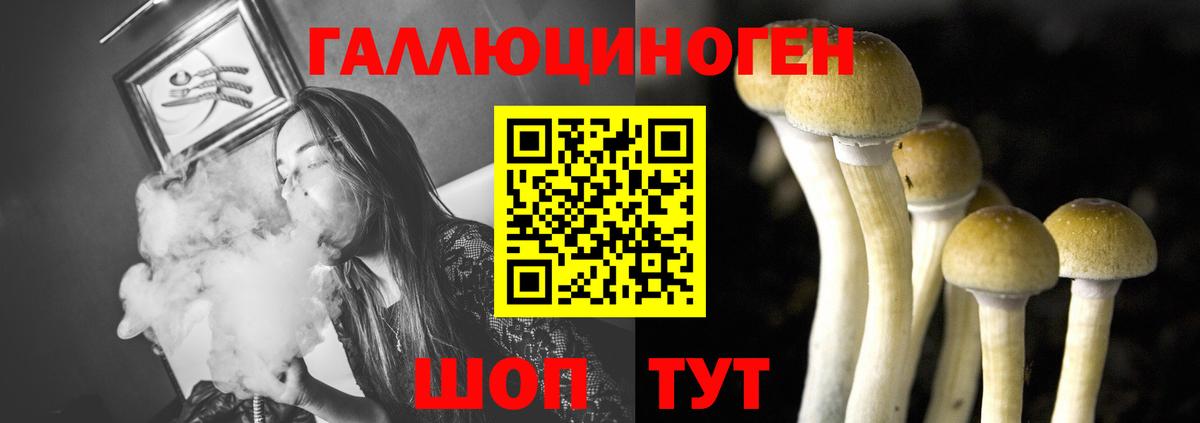 Псилоцибиновые грибы MAGIC MUSHROOMS  Псилоцибиновые грибы мицелий  Вход с VPN  Среднеуральск 